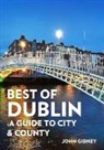 John Gibney - Best of Dublin