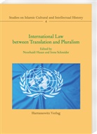 Noorhaidi Hasan, Schneider, Irene Schneider - International Law between Translation and Pluralism