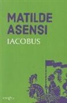 Matilde Asensi - Iacobus