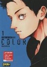 Harada - Color recipe 1