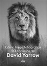 David Yarrow - Cómo Hago Fotografías: 20 Consejos