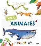 Jesús Cortés, Fabien Ockto Lambert, Fabien Öckto Lambert, Fabien Öckto Lambert - Hola! Animales