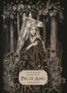 Benjamin Lacombe, Cècile Roumiguière, Alessandra Maria - Piel de asno