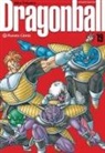 Akira Toriyama - Dragon Ball ultimate 19