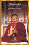 Thubten Yeshe, Lama Yeshe - Mahamudra