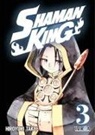 Hiroyuki Takei - Shaman King