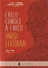 David Levithan - Chico conoce a chico