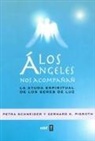 Gerhard K. Pierrot, Petra Schneider - Los ángeles nos acompañan : la ayuda espiritual de los seres de luz