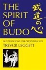Trevor Leggett - The Spirit of Budo - Old Traditions for Present-day Life