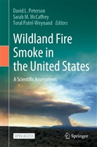 Sarah M McCaffrey, Sarah M. McCaffrey, Toral Patel-Weynand, David L. Peterson - Wildland Fire Smoke in the United States