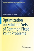 Alexander J Zaslavski, Alexander J. Zaslavski - Optimization on Solution Sets of Common Fixed Point Problems