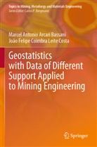 Marcel Antonio Arcari Bassani, Coimbra Leite Costa, João Felipe Coimbra Leite Costa - Geostatistics with Data of Different Support Applied to Mining Engineering