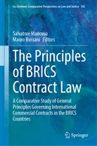 William Eccles, Bussani, Mauro Bussani, Salvatore Mancuso - The Principles of BRICS Contract Law