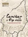 Pedro Feijoo Barreiro - Camiñar o Vigo vello : un paseo pola historia da cidade