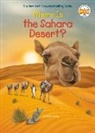 Sarah Fabiny, David Malan, Who HQ - Who HQ