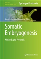 Marco A Ramírez-Mosqueda, Marco A. Ramírez-Mosqueda - Somatic Embryogenesis