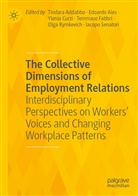 Tindara Addabbo, Edoardo Ales, Ylenia Curzi, Ylenia Curzi et al, Tommaso Fabbri, Olga Rymkevich... - The Collective Dimensions of Employment Relations