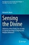 Michael N Marsh, Michael N. Marsh - Sensing the Divine