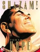 Paul Dini, Alex Ross - Shazam!: Power of Hope