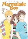 Wataru Yoshizumi - Marmalade Boy: Collector's Edition 2