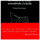 Elvira Sastre - La soledad de un cuerpo acostumbrado a la herida