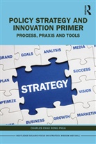 Charles Chao Rong Phua, Charles Chao Rong (Chairman of Solaris Conso Phua - Policy Strategy and Innovation Primer