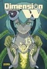 Yuji Iwahara - Dimension W 13