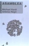 Michael Hardt, Antonio Negri - Asamblea