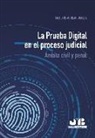 Salud de Aguilar Gualda - La prueba digital en el proceso judicial : ámbito civil y penal