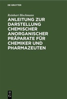 Reinhart Blochmann - Anleitung zur Darstellung chemischer anorganischer Präparate für Chemiker und Pharmazeuten