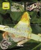 Insectos, anfibios y reptiles