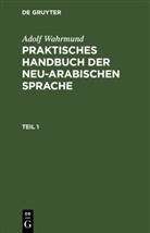 Adolf Wahrmund - Adolf Wahrmund: Praktisches Handbuch der neu-arabischen Sprache - Teil 1: Praktische Grammatik der neu-arabischer Sprache