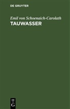 Emil von Schoenaich-Carolath - Tauwasser