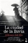 Alfonso del Río - La ciudad de la lluvia