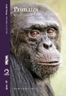 Miquel Llorente Espino - Primates