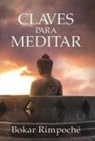 B&oacute;kar Rimpoch&eacute; - Claves para meditar