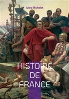 Jules Michelet - Histoire de France