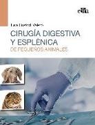Laia Custodi Valero - Cirugía digestiva y esplénica de pequeños animales