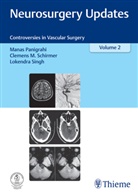 Manas Panigrahi, Clemens Schirmer, Singh, Lokendra Singh - Neurosurgery Updates, Vol. 2