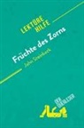 Natacha Cerf, derQuerleser, Natacha Cerf - Früchte des Zorns von John Steinbeck (Lektürehilfe)