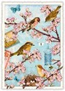 Postkarte / Vögel / hoch / blanko