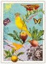 Postkarte / Vögel / blanko