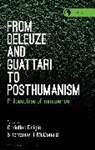 Christine Daigle, Terrance H McDonald, Rosi Braidotti, Christine Daigle, Daigle Christine, Terrance H. McDonald - From Deleuze and Guattari to Posthumanism