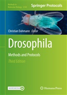 Christian Dahmann - Drosophila