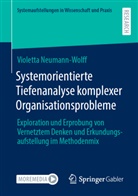 Violetta Neumann-Wolff - Systemorientierte Tiefenanalyse komplexer Organisationsprobleme