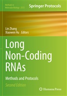 Hu, Xiaowen Hu, Lin Zhang - Long Non-Coding RNAs