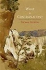 Thomas Merton - What Is Contemplation?