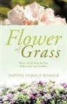Daphne Harold-Warner - Flower of Grass