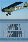 Paul Smith - Saving a Grasshopper