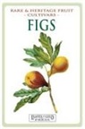 C. Thornton - Figs